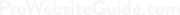 Prowebsiteguide.com logo white text transparent background