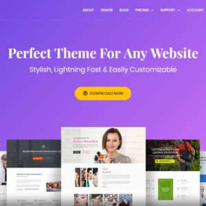 Astra Theme Review
