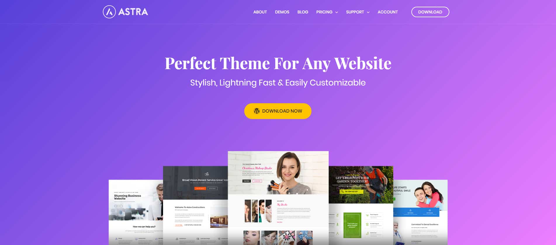 Astra Theme Review Astra Theme Review